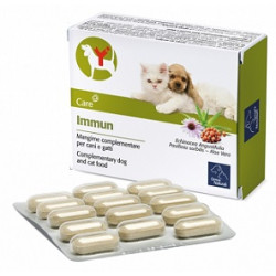 IMMUN 60 COMPRESSE
