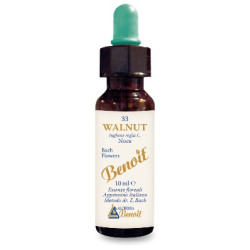 FIORI DI BACH BENOIT WALNUT 10 ML