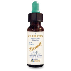 FIORI DI BACH BENOIT CLEMATIS 10 ML
