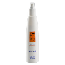 Rev Filtro Alto Maxi Spray 300 Ml