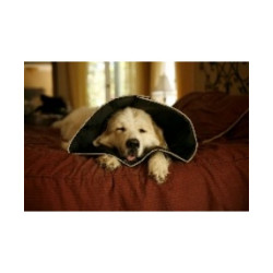 COMFY CONE COLLARE ELISABETTIANO INNOVATIVO XL DIAMETRO 30 CM