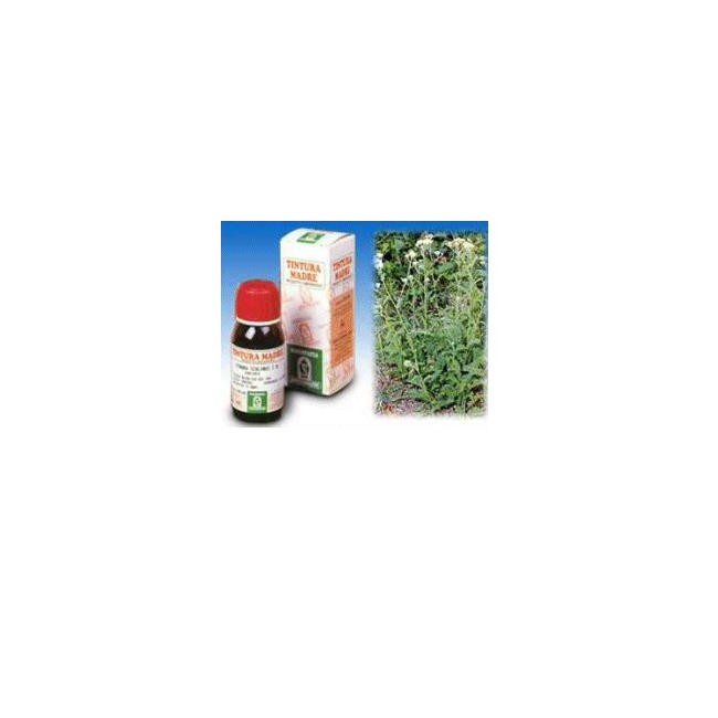 ACHILLEA 51 50ML TM ACHILLEA 51 50ML TM