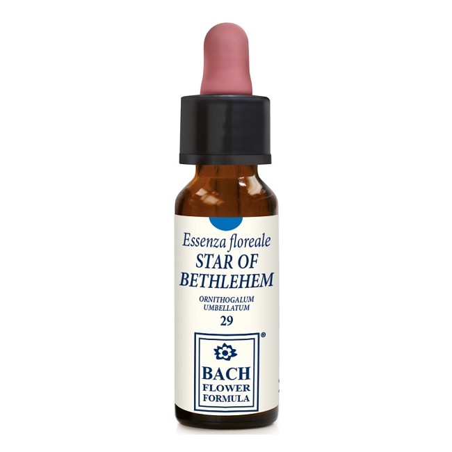 Star Of Bethlehem 10 Ml Gocce Star Of Bethlehem 10 Ml Gocce