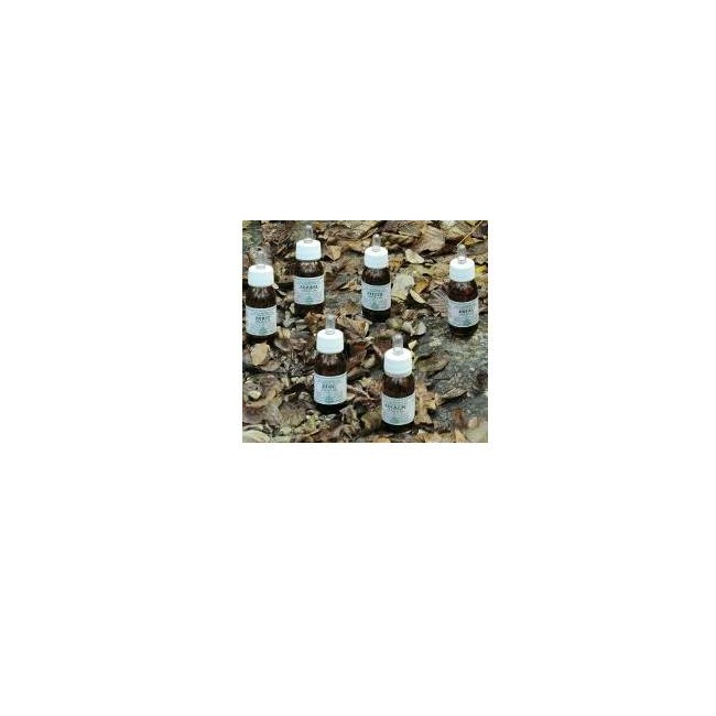 LENIPUR OLIO MASSAGGIO 30 ML LENIPUR OLIO MASSAGGIO 30 ML