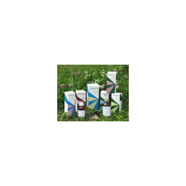 RAEMIL RADICE NERO COMPOSTO 250 ML RAEMIL RADICE NERO COMPOSTO 250 ML