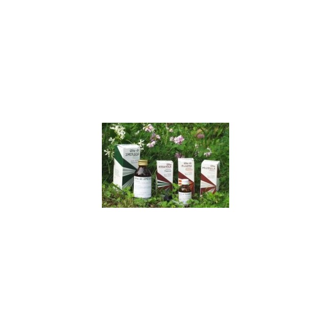 RAEMIL PRIMULA OLIO 25 ML RAEMIL PRIMULA OLIO 25 ML