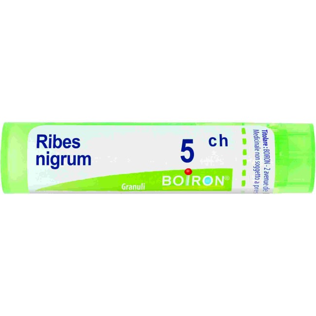 RIBES NIGRUM 5CH GRANULI RIBES NIGRUM 5CH GRANULI