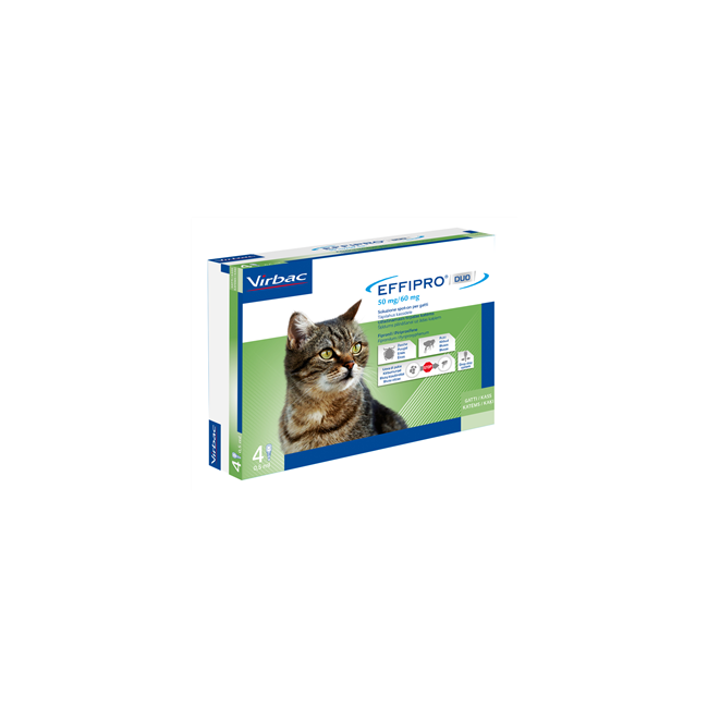 EFFIPRO DUO*4PIP 1-6KG GATTI EFFIPRO DUO*4PIP 1-6KG GATTI