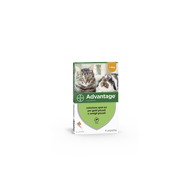 ADVANTAGE*4PIP 0,4ML SPOTON ADVANTAGE*4PIP 0,4ML SPOTON