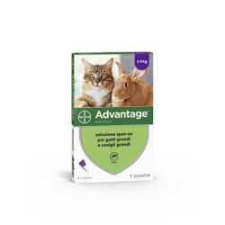 ADVANTAGE*4PIP 0,8ML SPOTON