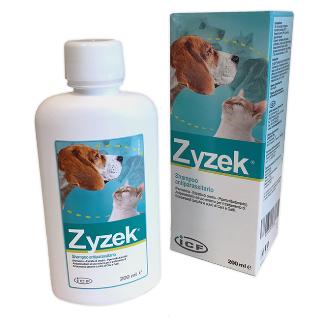 ZYZEK SHAMPOO ANT*FL PE 200ML ZYZEK SHAMPOO ANT*FL PE 200ML