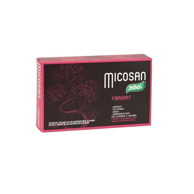MICOSAN FIBROART 40 CAPSULE MICOSAN FIBROART 40 CAPSULE