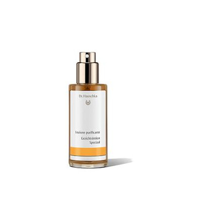 DR HAUSCHKA LOZ PURIFICANTE 100ML DR HAUSCHKA LOZ PURIFICANTE 100ML