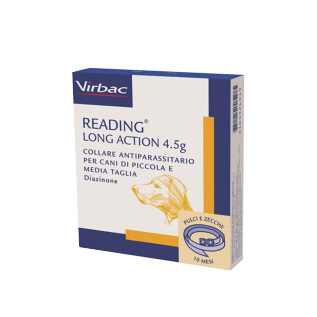 READING LONG ACT*CANI PI-ME READING LONG ACT*CANI PI-ME