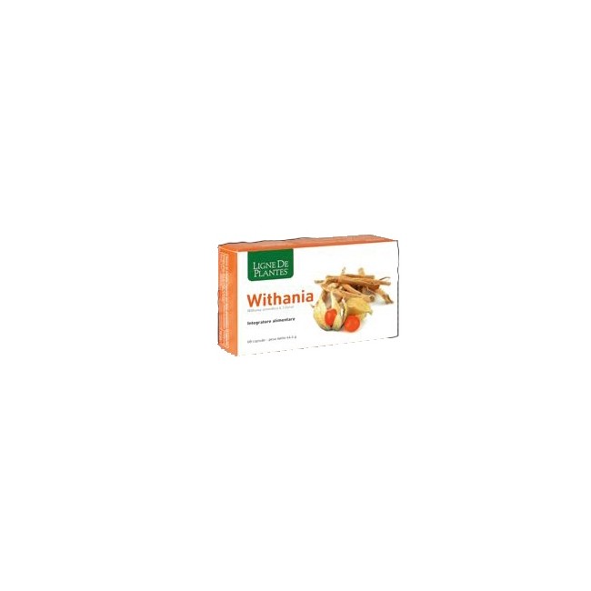 WITHANIA 60 CAPSULE WITHANIA 60 CAPSULE
