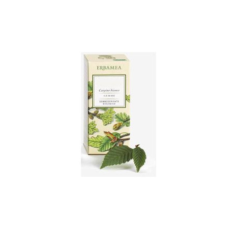 Ficus Carica Gemme Gemmoderivato Bio 50 Ml Ficus Carica Gemme Gemmoderivato Bio 50 Ml
