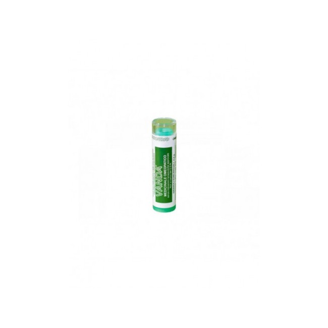VANDA 74 GR 4G VANDA 74 GR 4G