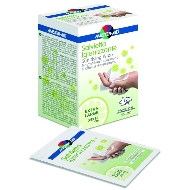MASTER-AID SAVIETTA IMPREGNATA DI SOLUZIONE IGIENIZZANTE XL 12 PEZZI MASTER-AID SAVIETTA IMPREGNATA DI SOLUZIONE IGIENIZZANTE XL 12 PEZZI