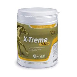 X-TREME FLAME POLVERE BARATTOLO 450 G