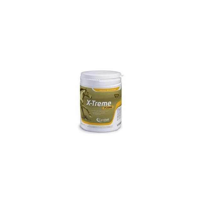 X-TREME FLAME POLVERE BARATTOLO 450 G