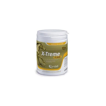 X-TREME FLAME POLVERE BARATTOLO 450 G