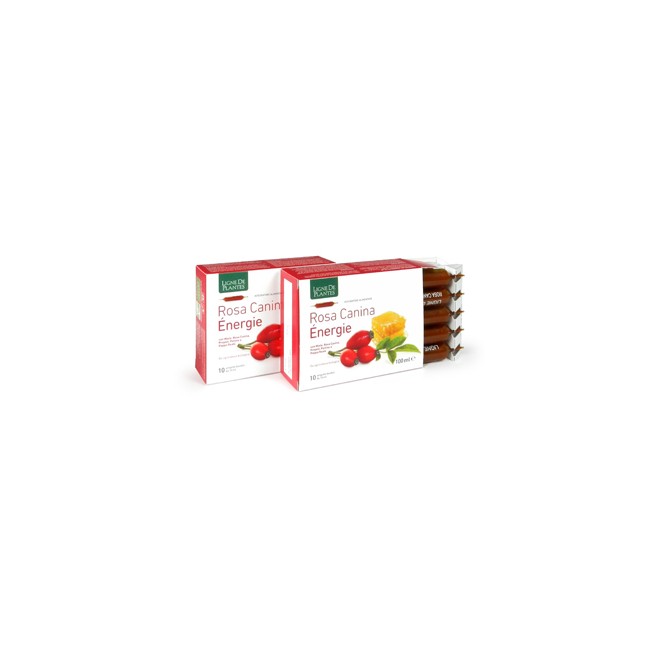 ROSA CANINA ENERGIE BIOLOGICO 10 AMPOLLE BEVIBILI DA 10 ML ROSA CANINA ENERGIE BIOLOGICO 10 AMPOLLE BEVIBILI DA 10 ML