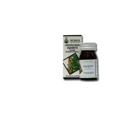 EQUISETO 60 CAPSULE 500 MG