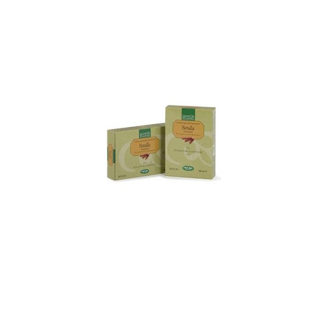 BETULLA BIOLOGICO 20 AMPOLLE BEVIBILI 15 ML BETULLA BIOLOGICO 20 AMPOLLE BEVIBILI 15 ML