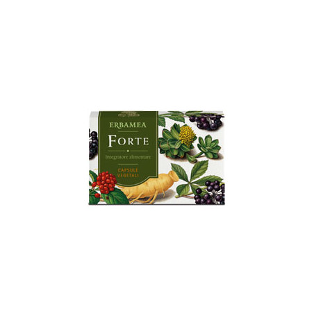 FORTE 24 CAPSULE