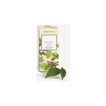 RIBES NIGRUM GEMME GEMMODERIVATO
