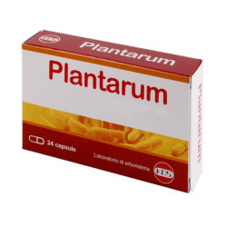 Confezione da 24 capsule di Kos Plantarum Integratore Di Fermenti Lattici Per Il Microbiota Intestinale.