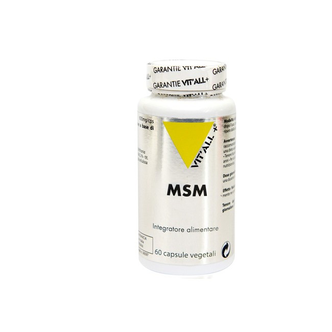 MSM 60 CAPSULE MSM 60 CAPSULE