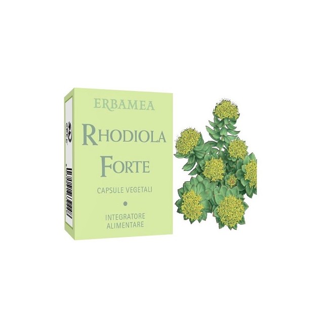 RHODIOLA FORTE 24 CAPSULE RHODIOLA FORTE 24 CAPSULE
