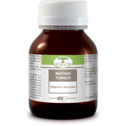 MAITAKE FUNGUS 60 CAPSULE