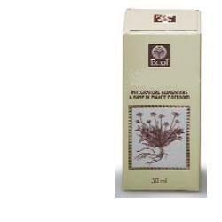 EQUISETO ESTRATTO ANALCOLICO 50 ML ARTICOLO 794