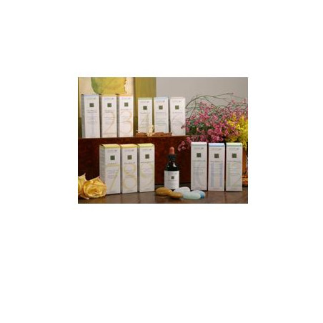 ZEF01 COLOPLANT FRED STV