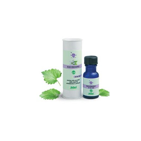 TEA TREE OLIO ESSENZIALE BIO 15 ML TEA TREE OLIO ESSENZIALE BIO 15 ML