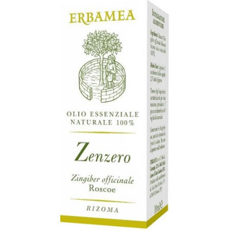ZENZERO 10 ML