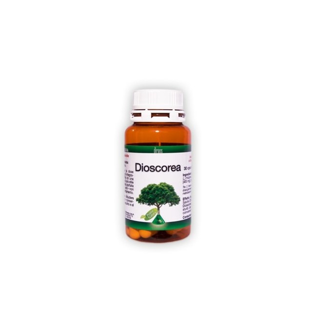 DIOSCOREA 30 CAPSULE 500 MG DIOSCOREA 30 CAPSULE 500 MG