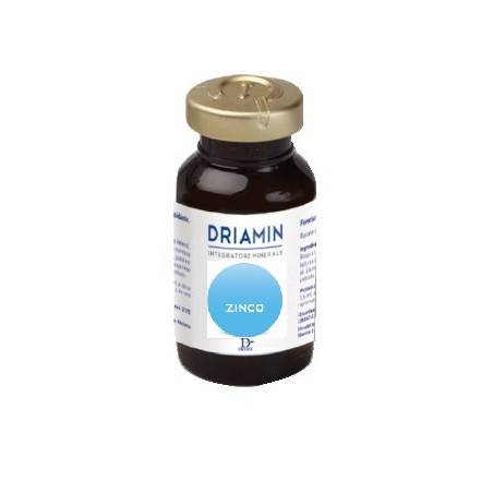 DRIAMIN ZINCO 10 FLACONCINI 15 ML