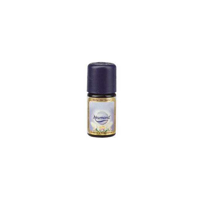 MENTA PIPERITA 10 ML MENTA PIPERITA 10 ML