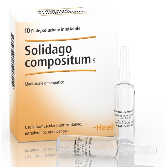 HEEL SOLIDAGO COMPOSITUM 10 FIALE DA 2,2 ML L'UNA HEEL SOLIDAGO COMPOSITUM 10 FIALE DA 2,2 ML L'UNA