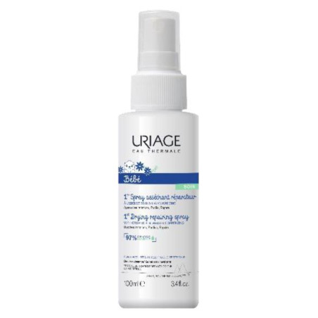 Bebe Spray Assorbente Riparatore Cu-zn 100 Ml Bebe Spray Assorbente Riparatore Cu-zn 100 Ml