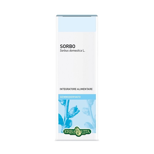 GEMMODERIVATO SORBO 50 ML GEMMODERIVATO SORBO 50 ML