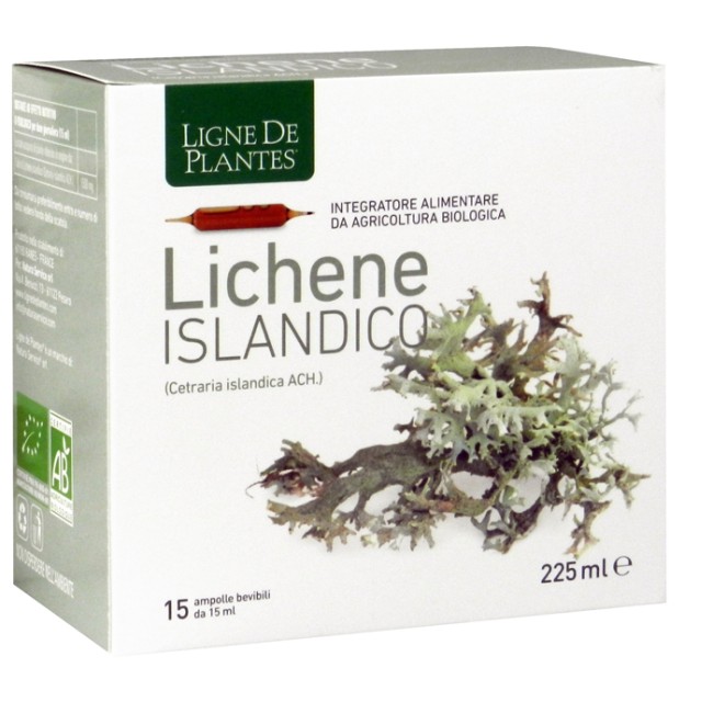LIGNE DE PLANTES LICHENE ISLANDICO 15 AMPOLLE X 15 ML LIGNE DE PLANTES LICHENE ISLANDICO 15 AMPOLLE X 15 ML