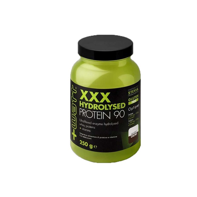 XXX HYDROLYSED WHEY 90 250 G XXX HYDROLYSED WHEY 90 250 G