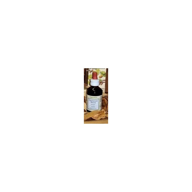 CASTANEA VESCA GEMME GEMMODERIVATO BIO 50 ML CASTANEA VESCA GEMME GEMMODERIVATO BIO 50 ML