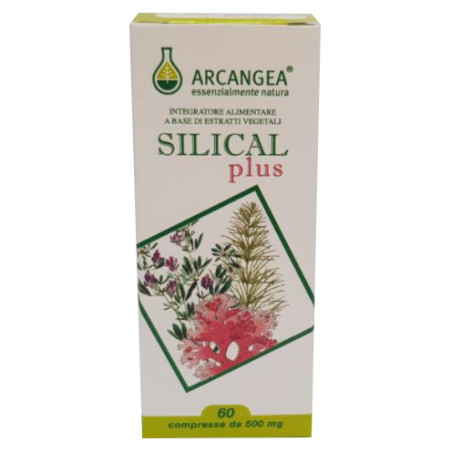 SILICAL PLUS 60 COMPRESSE SILICAL PLUS 60 COMPRESSE