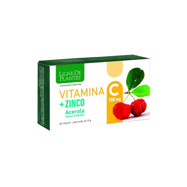 LIGNE DE PLANTES VITAMINA C 500 MG + ZINCO ACEROLA E MANNA DI BAMBU' 60 CAPSULE LIGNE DE PLANTES VITAMINA C 500 MG + ZINCO ACEROLA E MANNA DI BAMBU' 60 CAPSULE