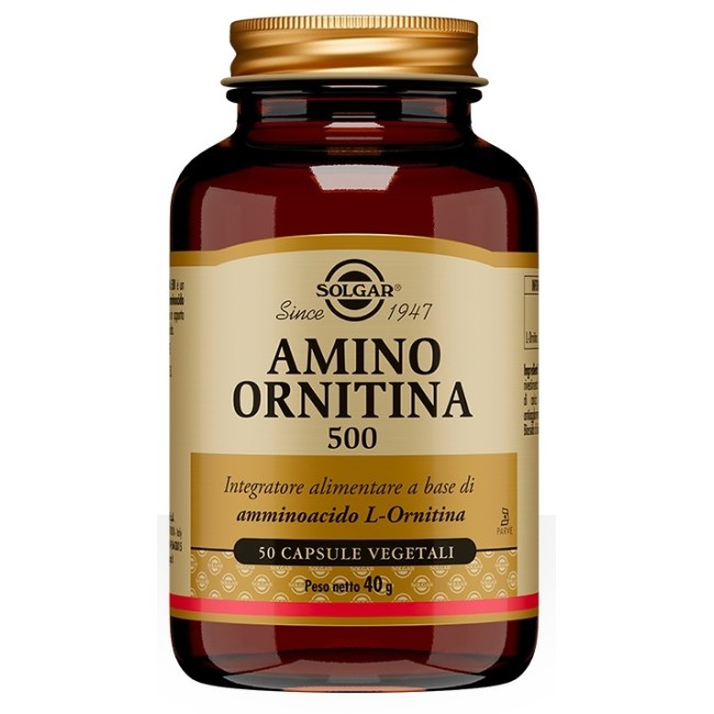 AMINO ORNITINA 500 50 CAPSULE VEGETALI AMINO ORNITINA 500 50 CAPSULE VEGETALI
